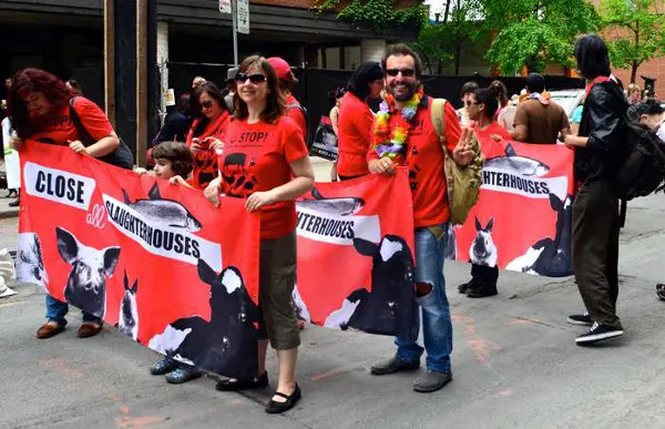 Em Toronto, no Canadá, os organizadores da marcha mostram que já está tudo pronto para o evento que acontecerá no próximo Sábado. (Foto Divulgação)