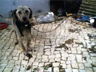 Foto: Divulgação