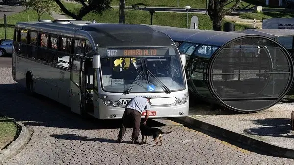 Foto: Divulgação/Adriano Rabiço