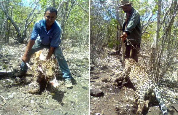 A Associação de Proteção Animal da Liberia postou as fotos em sua página do facebook. (Foto: ALPA)