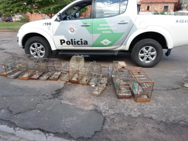 Polícia Militar Ambiental resgatou 26 pássaros silvestres  e os devolveu à natureza. (Foto: Divulgação/Polícia Militar Ambiental)