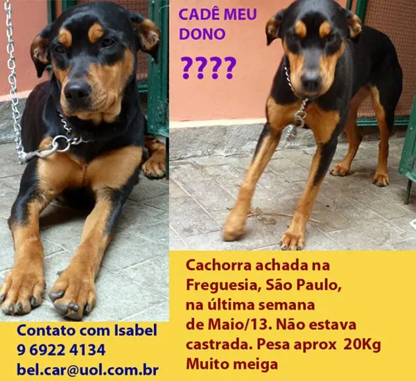 Cartaz: Divulgação