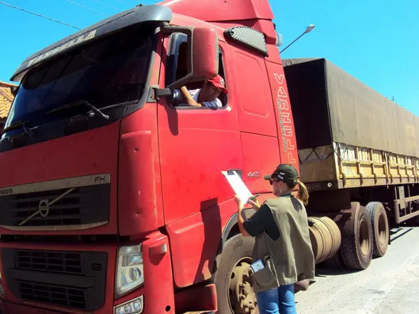A equipe da UFPR/ITTI fez uma pesquisa com motoristas da região da BR-262, no Mato Grosso do Sul, para identificar qual a percepção deles sobre o atropelamento de animais, um dos principais problemas da rodovia. (Foto: Divulgação)