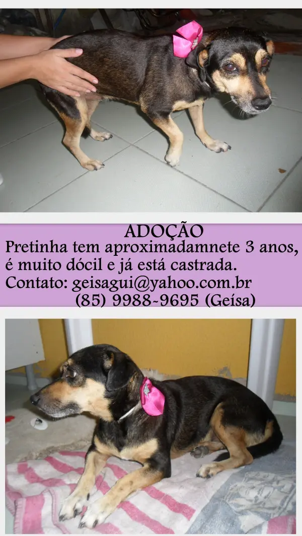 Imagem: Divulgação
