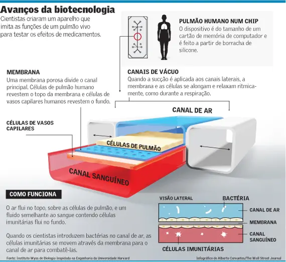 Infográfico: Wall Street Journal