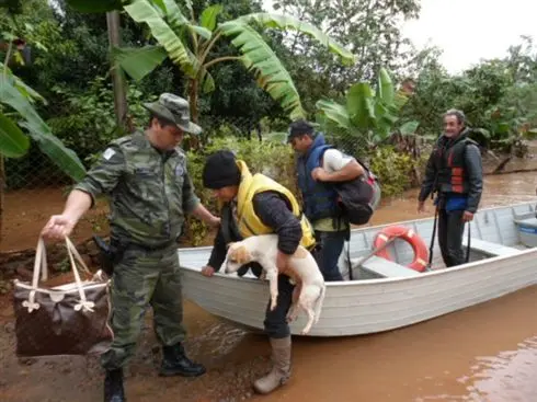 Foto: 3ª Companhia de Polícia Ambiental de Maringá 