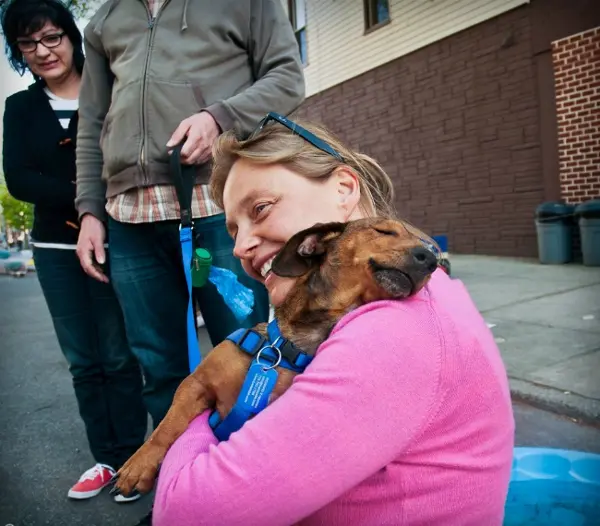 Foto: Divulgação/Badass Brooklyn Dog Foster