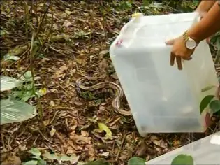 Foto: Reprodução/ G1