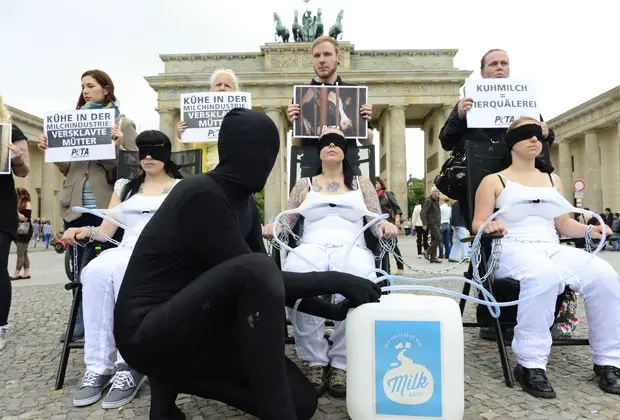 Grupo fez simulação de como as indústrias retiram leite das vacas (Foto: John Macdougall/AFP)