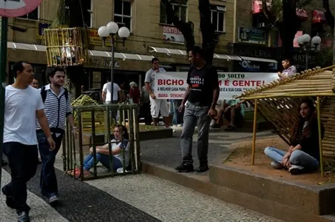 O projeto é contra o tráfico de animais silvestres. (Foto: Airton Soares)