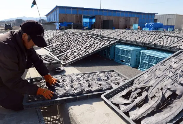 Foto mostra pescador secando partes de tubarões no Japão em março de 2013  (Foto: Toshifumi Kitamura / AFP)