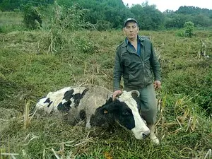 Tutor ficou emocionado após a retirada do animal (Foto: Jorge Martins/RBS TV)