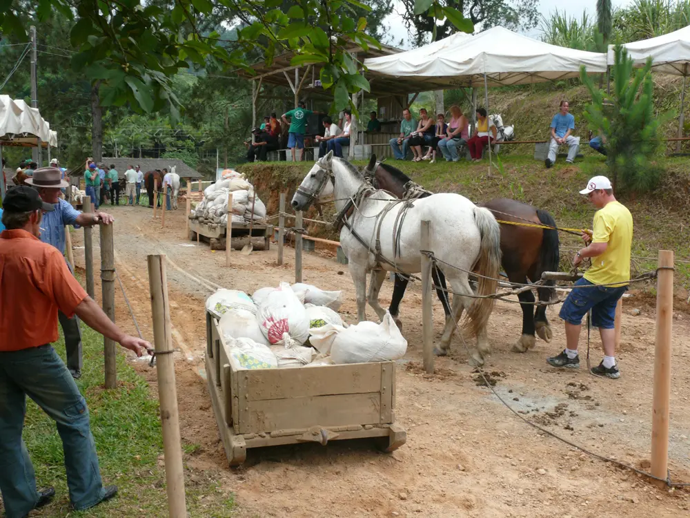 As odiosas puxadas estão com os dias contados e farão parte de um triste passado da região.( Foto: Beto Ramlow)