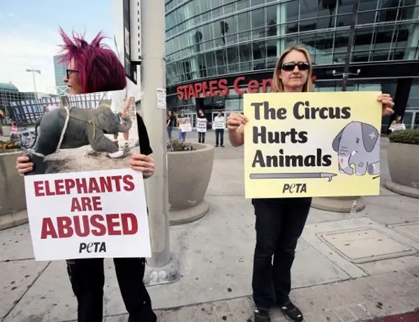 PETA protesta contra os abusos de elefantes. (Foto: La Opinión/ Ciro Cesar)