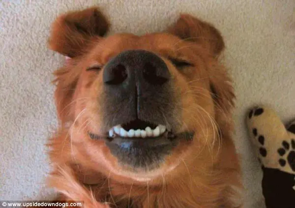 Foto: Daily Mail