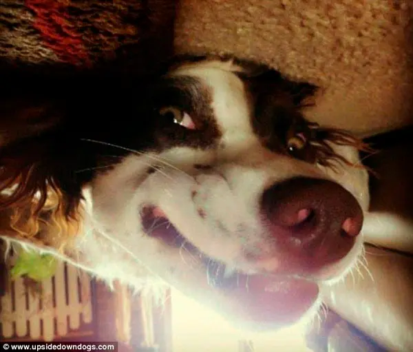 Foto: Daily Mail