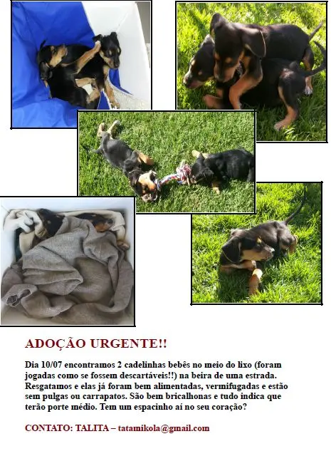 Foto: Divulgação