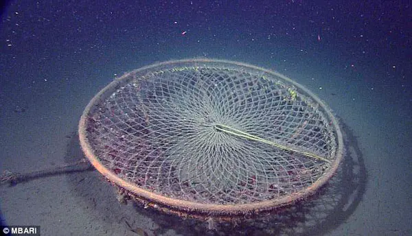Equipamento de pesca também era um achado comum. (Foto: Daily Mail)
