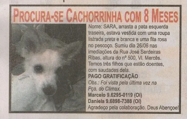 Cartaz: Divulgação