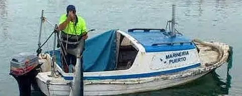 O tubarão capturado dias atrás nas águas de Alboraia. (Foto: Reprodução)