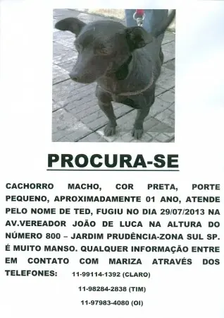 PROCURA-SE  FOLHETO