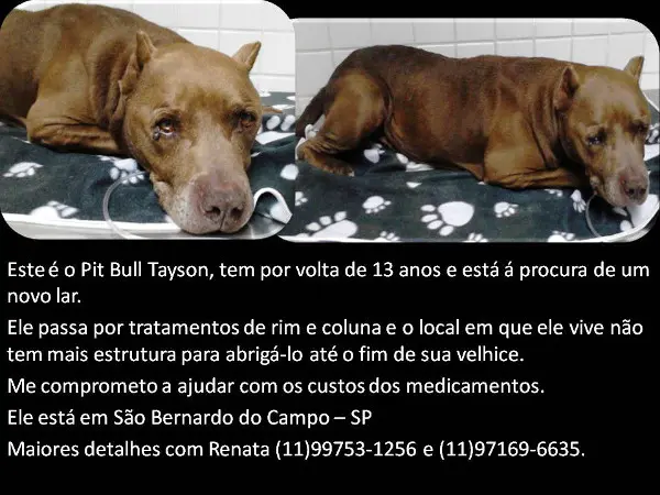 Tayson