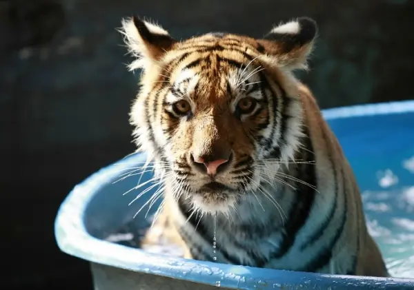 Foto: Reuters