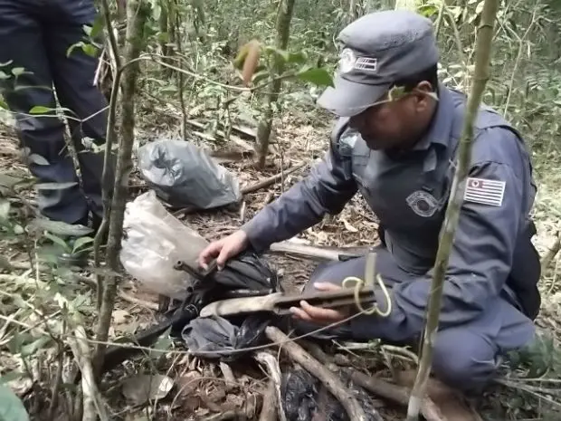 Armadilhas e espingardas foram encaminhadas para a delegacia (Foto: Polícia ambiental/Divulgação)