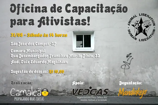 Foto: Divulgação/ Camaleão