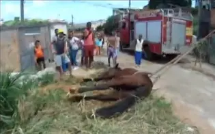 Foto: Reprodução/ G1
