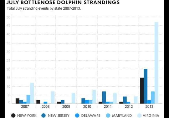 Gráfico mostrando estatísticas de mortes de golfinhos nariz-de-garrafa, entre 2007 e 2013. As incidências deste ano são alarmantes. (Foto: Frank Pompa, USA TODAY)