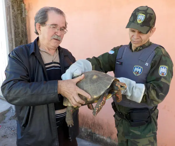 Vander fazendo a entrega voluntária (Foto: Divulgação)