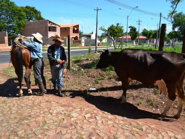 Foto: Gentileza