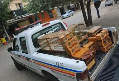 Foto: Portal Caparaó