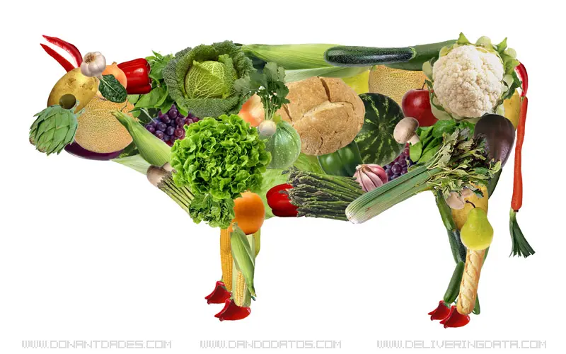 5-vegetariano