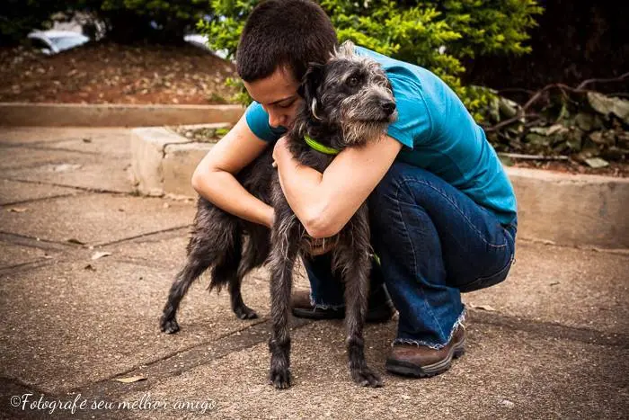 Cão amoroso precisa de um lar (Foto: Divulgação)