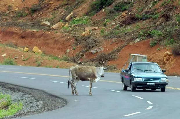 (Foto: Reprodução Google)