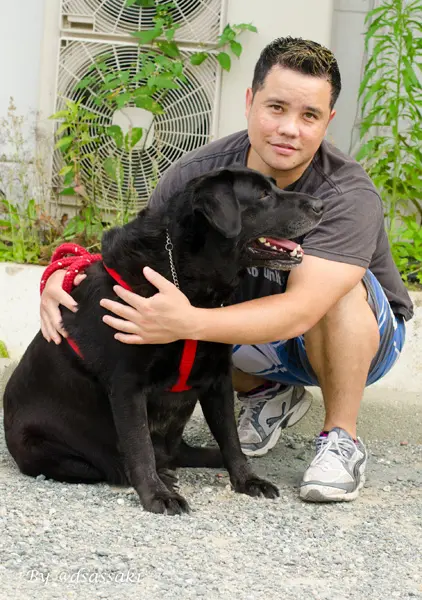 Cão adotado na Happy Family. (Foto: Reprodução)