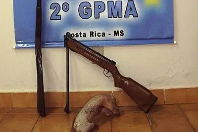 PMA apreende animal e munições. (Foto: Divulgação/PMA)