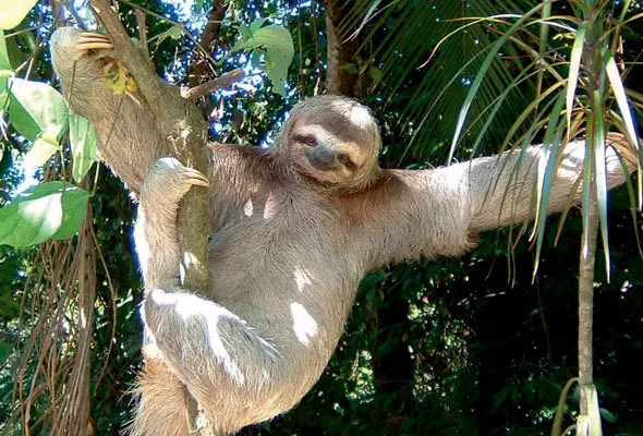 Foto: Divulgação/Recreio