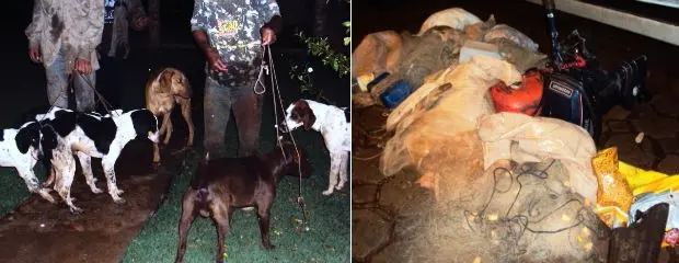 Polícia Ambiental encontrou cães de caça e quase mil metros de redes de pesca ilegais (Foto: Divulgação/Polícia Militar Ambiental)