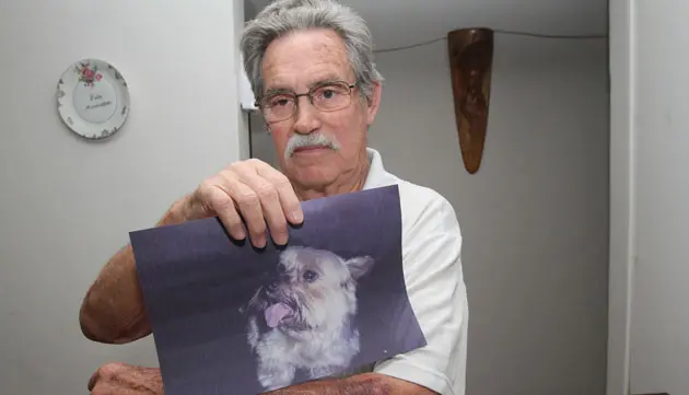 Muitos dos casos relatados acontecem quando o tutor e animal estão passeando (foto: Valquir Aureliano)