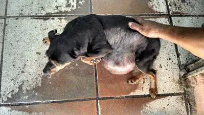 (Foto: Reprodução Facebook)