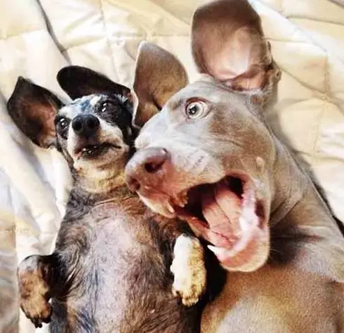 Foto: Reprodução/ Instagram