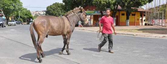 Foto: Divulgação/ Prefeitura de Bom Despacho