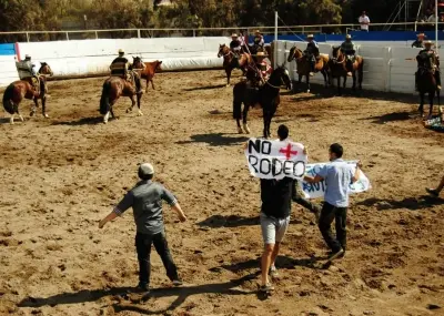 Foto: Vegacción Arica