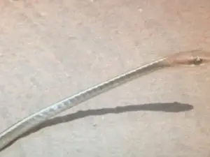 (Foto: Reprodução/ TV Anhanguera)
