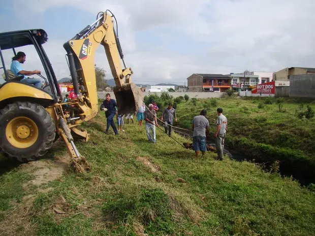 Animal foi resgatado de vala em Itajaí (Foto: Diretoria de Defesa Animal/Divulgação)
