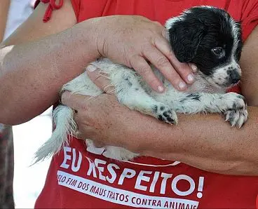 Foto: Divulgação/ Portal Clica Tribuna