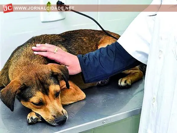 Foto/Divulgação
